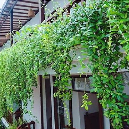 Riverside Plum Garden Villa Hội An Kültér fotó